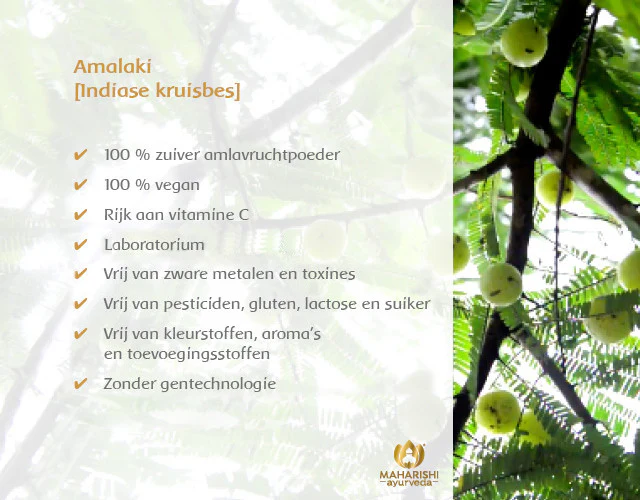 AMALAKI (Bio) - Image 4