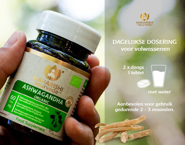 ASHWAGANDHA Bio - Image 4