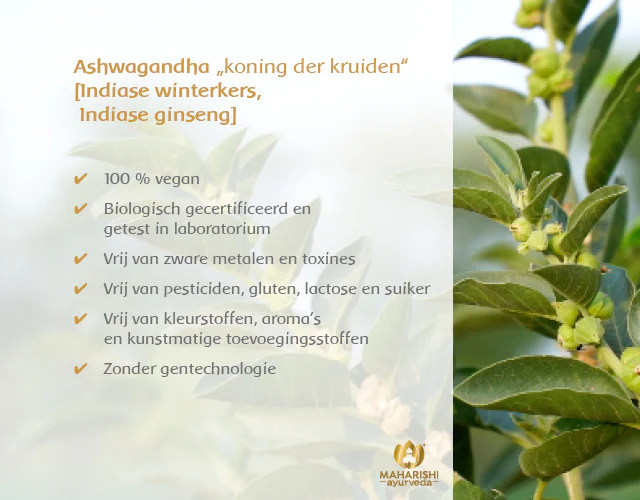 ASHWAGANDHA Bio - Image 5