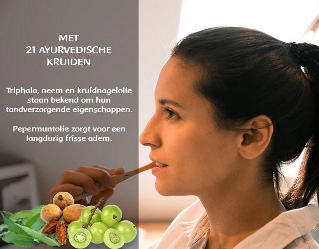 Ayurdent Tandpasta Mild, G.N.C. - Image 4