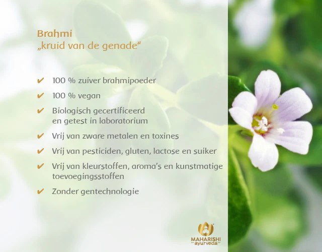 BRAHMI Bio - Image 4