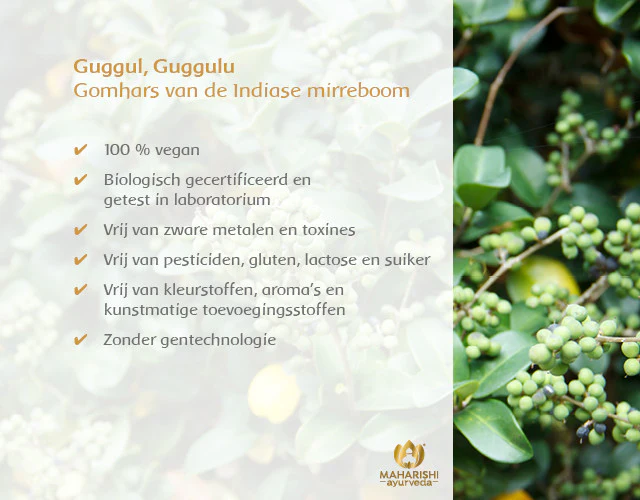 Guggul Bio - Image 5