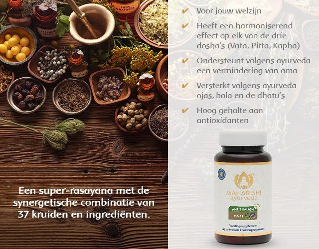 Vruchten- en kruidentabletten volgens ayurveda - Image 3