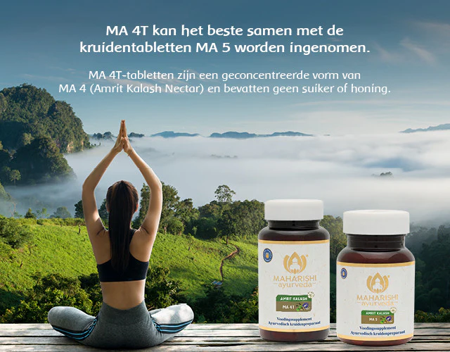 Vruchten- en kruidentabletten volgens ayurveda - Image 4