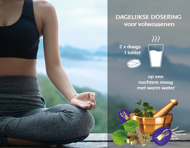 Vruchten- en kruidentabletten volgens ayurveda - Image 5
