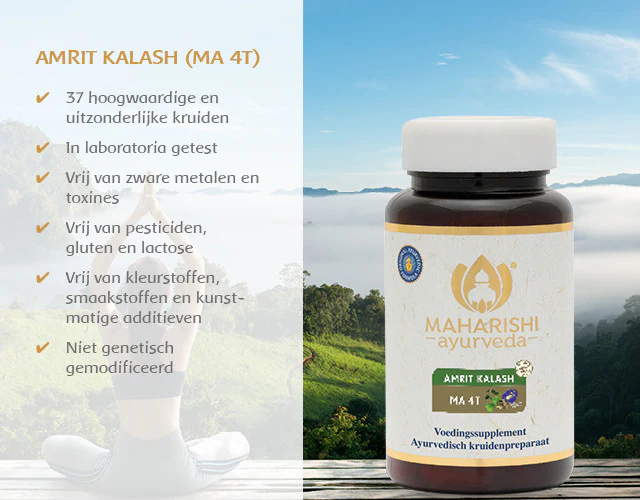 Vruchten- en kruidentabletten volgens ayurveda - Image 6