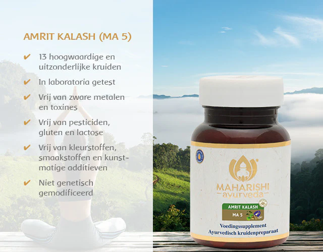 MA 5 kruidentabletten - Image 7