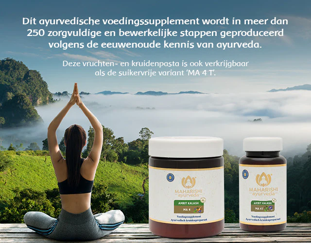 Traditionele ayurvedische vruchten- en kruidenpasta - Image 4