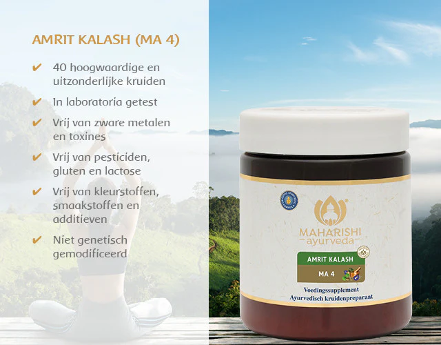 Traditionele ayurvedische vruchten- en kruidenpasta - Image 7
