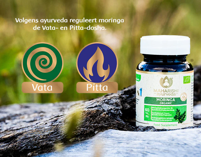 Moringa Natural - Image 2