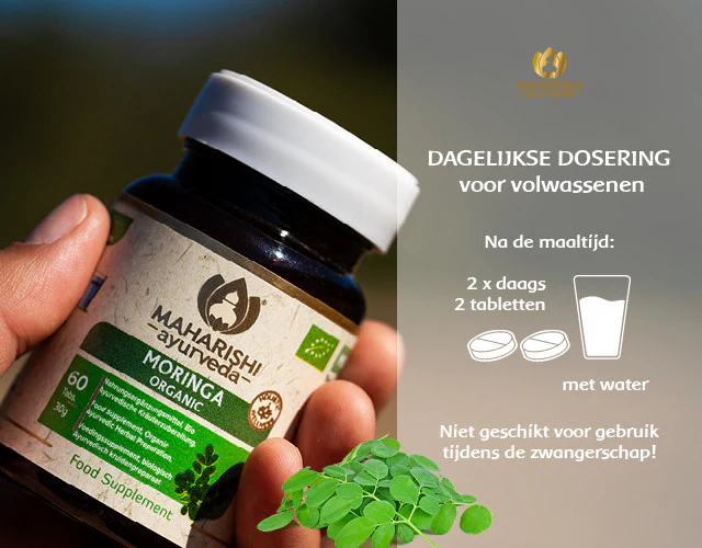 Moringa Natural - Image 4