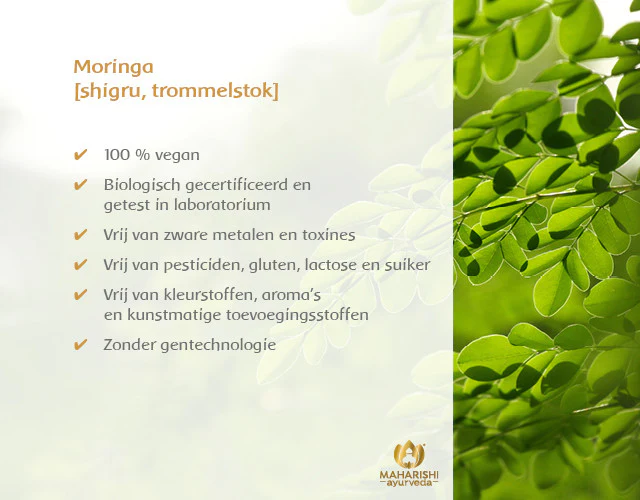 Moringa Bio - Image 5