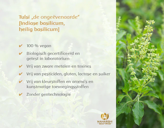 TULSI Bio - Image 5